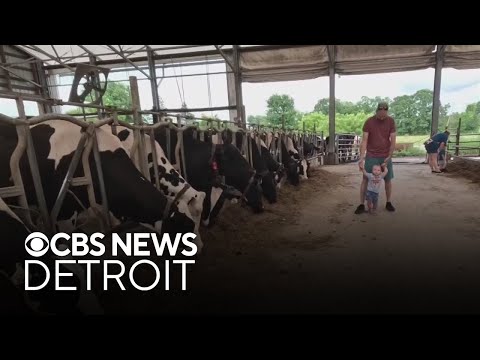YouTube video thumbnail: Cook’s Farm Dairy is the Last of its Kind in Oakland County