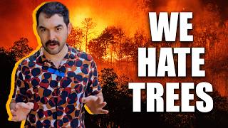 This Weird Fruit Is In Absolutely Everything | Climate Town