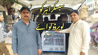 Subscriber Balochistan Se Aye Lovebird Lene 😍