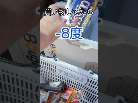 新しい買い物スタイル #shorts #買い物 #冷蔵庫 #bougerv