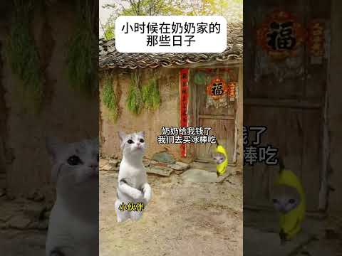 猫の動画サムネイル - 童年时奶奶对我的爱#有趣 #猫meme #猫meme剧场 #猫meme小剧场 #内容过于真实  #故事 #貓 #猫猫meme小剧场 #喵不可言