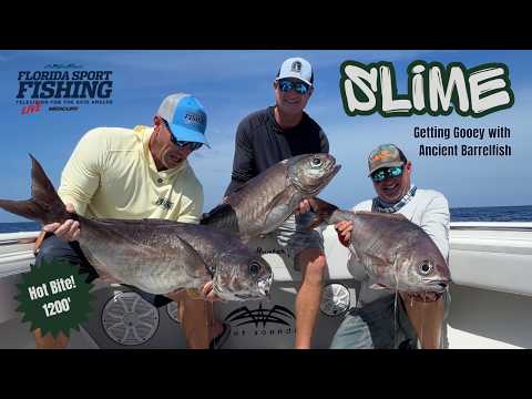 We hit the motherload catching the slimiest fish in the sea video thumbnail