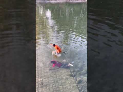 Video puri dekhna #travel #armylover #shots