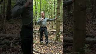 Arbres d'avenir I Toekomstbomen