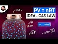 Exploring Gas Laws and Molecular Behavior