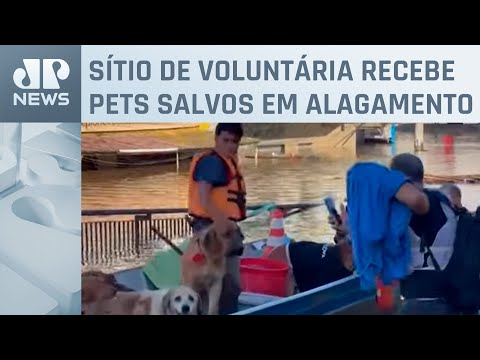 Moradores realizam resgate de animais em Canoas (RS)