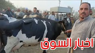 متمسك بالبقره مش عايز يسيب حبلها للتجار