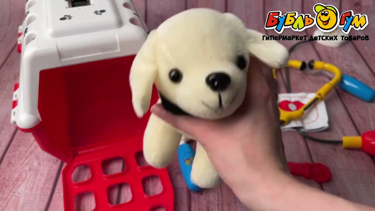  Набор игровой Lanson Toys Собачка в переноске с набором доктора - видео