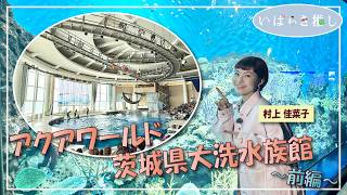 いばらき推し「アクアワールド茨城県大洗水族館～前編～（大洗町）」【出演：村上佳菜子】