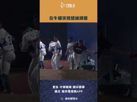 #CPBL 在牛棚突然想練滑壘 #中信兄弟 #富邦悍將 #中華職棒