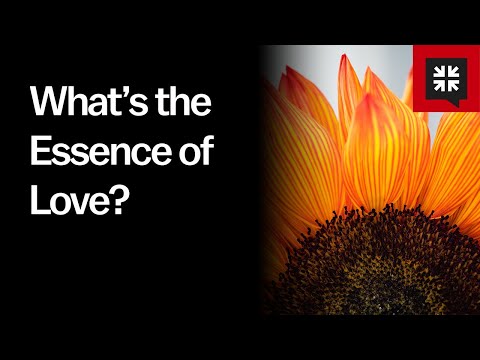 What’s the Essence of Love?