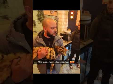 C’est pas le plus beau chat voltaire???