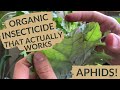 Earth's Ally Insect Control Concepts