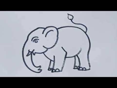 How to draw Elephant 🐘 step by step / Animal drawing