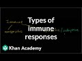 Immune System Responses and Functions
