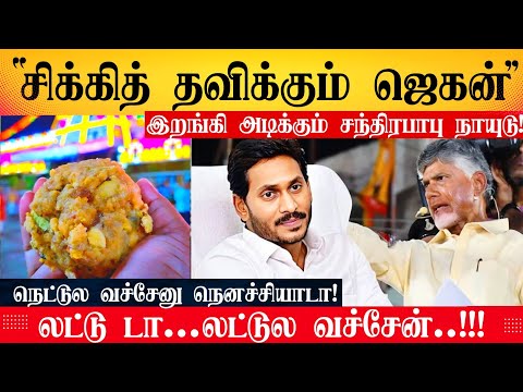 திருப்பதி லட்டு விவகாரம்! ஜெகன்மோகன் ரெட்டிக்கு வழலுக்கும் நெருக்கடி.வச்சி செய்யும் சந்திரபாபுநாயுடு