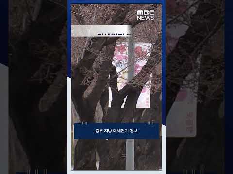 올봄 '최악 황사'..미세먼지 '매우 나쁨' #Shorts (MBC뉴스)