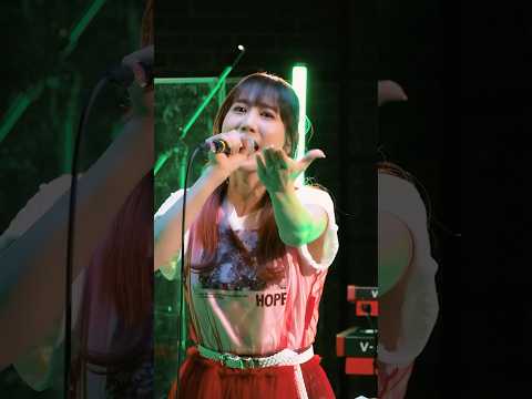 戦場の華 #チコハニ #CHiCOwithHoneyWorks #HoneyWorks #チコハニ再始動　#さいひと #MayIAsk