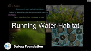 Running Water Habitat