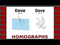 Understanding Homographs