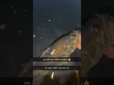 I can’t believe he didn’t see that! 👀😲 #scary #fishing