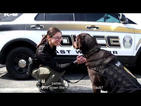 K9s For Warriors Connecticut visit