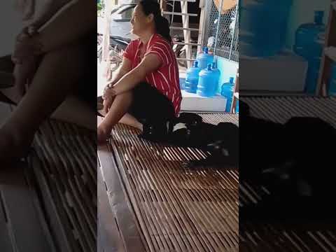 รับมุกดีคักเจ้าสำลี🤣🤣 #funny #ติดกระแส #ตลกเฮฮา