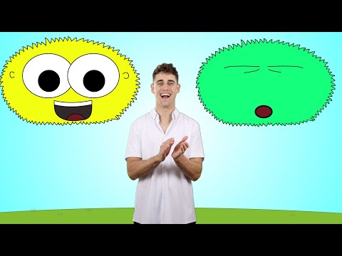 Learn Feelings and Emotions | How Are You Today | Adam's Classroom