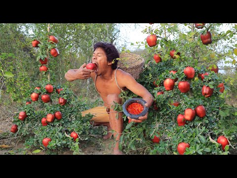 Survival in the forest - Eating apple with salt peppers -  In a forest full of apples