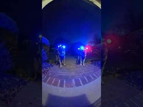 Crazy cat nearly gets arrested by Police Dogs #doorbellcam #crazy #funny #viral #subscribe