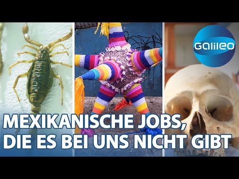 Vom Skorpionjäger bis zum Piñata Hersteller: Außergewöhnliche Jobs in Mexiko | Galileo | ProSieben