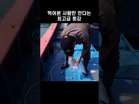 먹어 본 사람만 안다는 최고급 횟감 #shorts