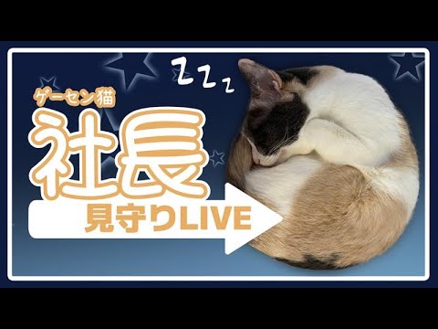 thumbnail_rpnh4a0GsrE