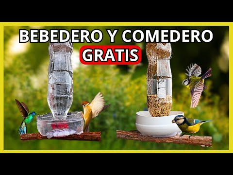 GENIAL- COMO HACER COMEDEROS y BEBEDEROS para pájaros SUPER FACIL | Gio de la Rosa