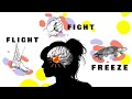 Understanding Anxiety and Its Responses