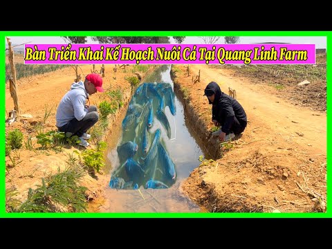 Một Kế Hoạch Táo Bạo - Bàn Bạc Với Quang Linh Để Triển Khai Nuôi Thử Nghiệm Cá Tại Quang Linh Farm ?