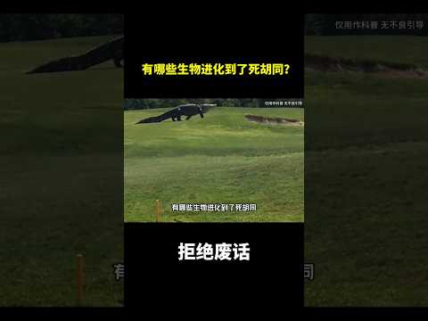 有哪些生物进化到了死胡同？#冷知识#涨知识
