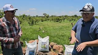 PORQUE? EL USO DE MINERALES 