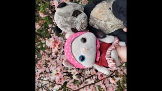【桜の季節】こいつたちがいる！4月の再会ライブ！【2025/04/13】