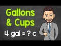 Understanding Gallon and Cup Conversions
