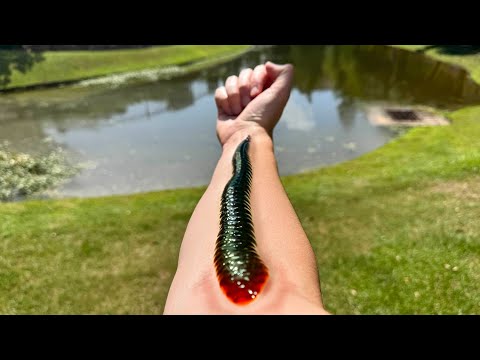 This CREATURE Won't Let Go..