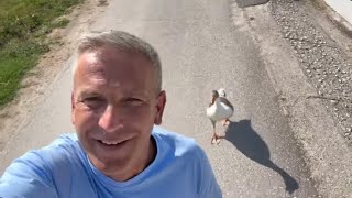 Selom sa guskom do Gabija – peglica cvili, Garo promatra 😂
