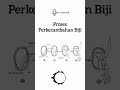 Proses Perkecambahan Biji