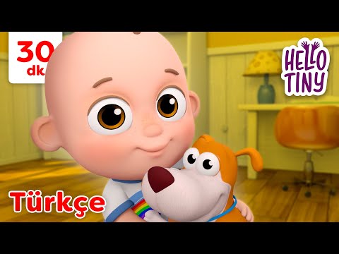 Bingo Şarkısı 🐶 | Bebekler için şarkılar | Hello Tiny Türkçe