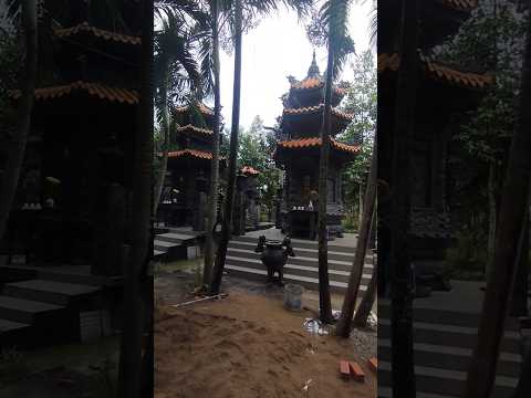 Về ngôi cổ tự Tôn Thạnh (Cần Giuộc) xem Cụ Đồ Chiểu bốc thuốc, làm thơ. #mchieuthanh #viral#shorts