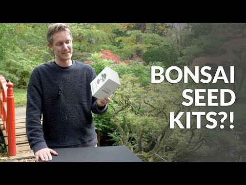 Bonsai Seed Kits?!