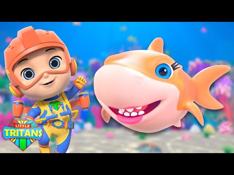 Baile de Tiburón Bebé con Animales Marinos Canción Divertida y Más Rimas Infantiles