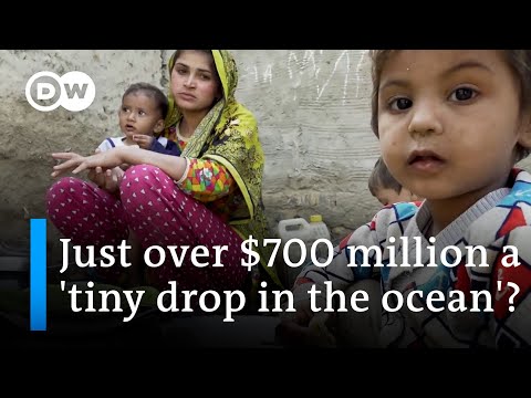 COP28: What difference can the 'loss and damage fund' really make? | DW News