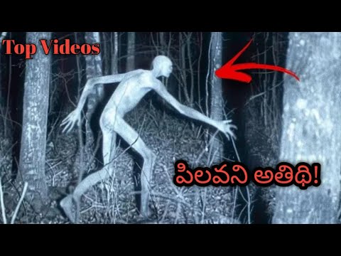 పిలవని అతిథి! || Pilavani Athithi! || Real Ghost Hunting Videos || Thriller King Horror