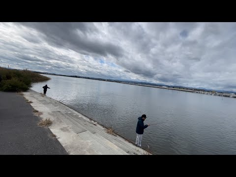 【宮城県】気温低下でも閖上漁港は今95%釣れますよーー！！【爆釣】